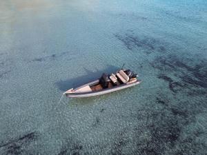 帕罗斯岛CycladesCharters: Discover Hidden Gems in Paros!的一艘小船在海洋里