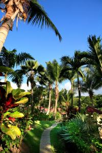 德赛Hotel - Résidence Habitation Grande Anse的种有棕榈树的花园