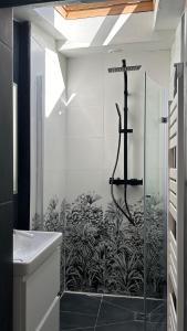 比亚里茨Chalet basque 6 couchages centre ville Biarritz的带淋浴的浴室和玻璃门