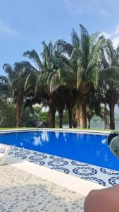 普拉多Cabaña represa Prado 25+ huesp的一座种植了棕榈树的蓝色游泳池
