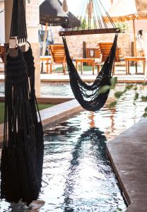 女人岛Bahia Tolok的吊床挂在水池上