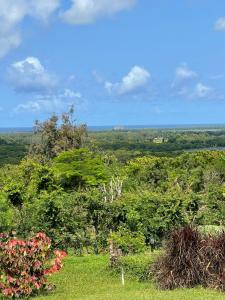 基利菲A80@VIPINGO RIDGE的享有树木和灌木丛的田野景色