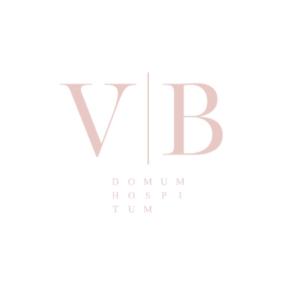 克拉斯拉瓦VB Domum Hospitum的带有梯度网格的字母标志单格设计模板