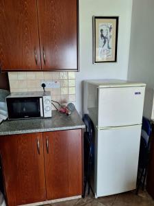利马索尔艾琳娜斯公寓的厨房配有微波炉和冰箱。