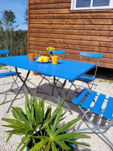 塞尔唐Casa Carini的蓝色野餐桌,上面摆放着椅子和水果