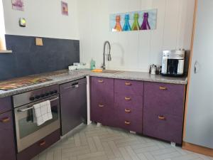 施韦青根希维切因根公寓的厨房配有紫色橱柜和水槽