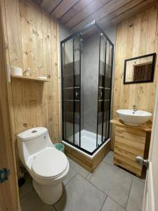 马坦萨斯Lodge Los Bosques的浴室配有卫生间、淋浴和盥洗盆。