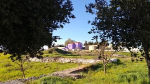 杰拉什Jerash mountain studio chalet شاليه جبال جرش و عجلون的一片绿树成荫的田野上的一个粉红色房子