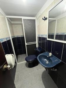 比亚维森西奥Hotel Villa Sofia的浴室配有蓝色水槽和卫生间。