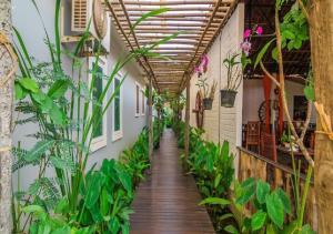 暹粒Punleu Raksmey Boutique的一条有植物的建筑的空走廊