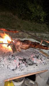 BorraS'INCONTRU A CA' DELL' ALPINO的燃木烤架上的木柴
