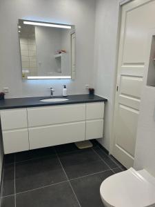 比伦德Private Rooms in center of Billund的一间带水槽、镜子和卫生间的浴室