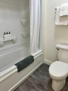 谢蒂坎普Cheticamp Outback Inn的白色的浴室设有卫生间和淋浴。
