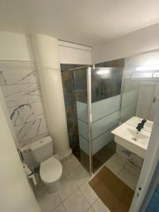 莱特鲁瓦西莱Beautiful Day Studio的浴室配有白色卫生间和盥洗盆。