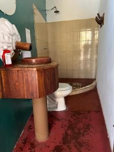 南圣胡安Buena Onda Backpackers的一间带卫生间和水槽的肮脏浴室