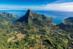 PaopaoRotui Lodge的享有高山和海洋的空中景致