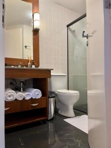 圣保罗São Paulo Mercure Moema Times Square - Flat DIAMOND的一间带卫生间、水槽和镜子的浴室