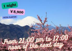 东京Hotel Plantan - Adult Only的一张山的照片,山中有一棵树,花朵粉红色