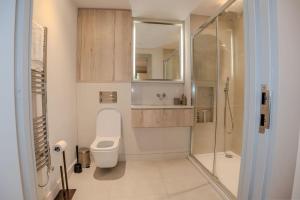 史丹摩2 Bedroom Flat near Stanmore Station的一间带卫生间和玻璃淋浴间的浴室