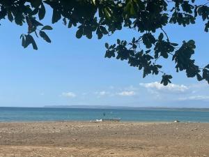 雅科Pura Vida Macaw Paradise的水中泛舟的海滩
