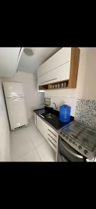 费拉迪圣安娜Ap exclusivo 2/4 completo的一间带水槽和炉灶的小厨房