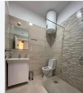 波德戈里察*Ana Maria*Hostel/rooms&bunk bed的一间带卫生间、水槽和镜子的浴室