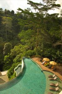 德格拉朗Cicada Luxury Resort - Ubud的度假村内带水滑梯的游泳池