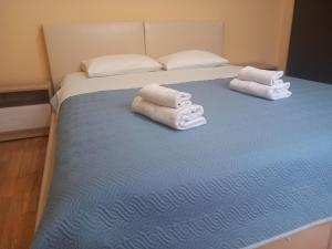 波德戈里察Apartment Filipovic的床上的两条毛巾和蓝色毯子