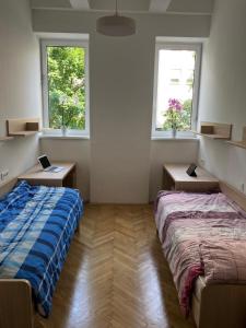 马里博尔CafDorm的一间卧室设有两张床和两个窗户。