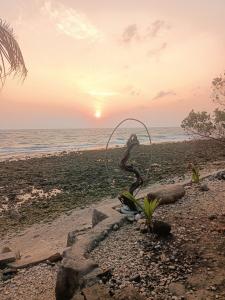 沙璜AAL Homestay的日落时在海滩上雕刻蛇