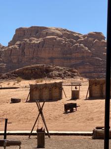 瓦迪拉姆The life on Mars wadi rum的沙漠中一个有两座小屋和一头牛的田野