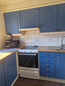 EtnesjøenMadsgård的厨房配有蓝色橱柜和炉灶烤箱。