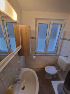 特里贝格Holiday Apartment near Triberg Waterfall的一间带水槽和卫生间的浴室以及窗户。