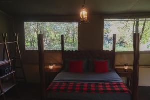 SekenaniDrunken Elephant Mara的一张带红色枕头的床,房间设有两个窗户