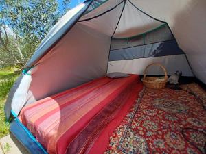 布泰拉Hostel Vela Vega的帐篷内的一张床位,里面装着一只猫