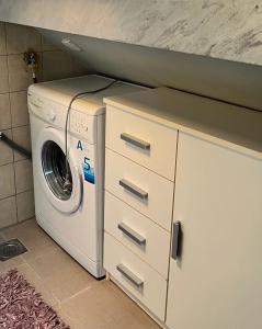 LedineLibrary suite 1的带柜台的房间内的洗衣机和烘干机