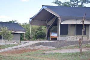 Sekenanikubwa mara safari lodge tent camp的庭院里的一个帐篷,里面配有一张床