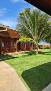 嘎林海斯港Kaapalua的院子前有棕榈树的房子