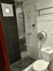 科尔多瓦PENSION CIBELES的带淋浴和卫生间的浴室