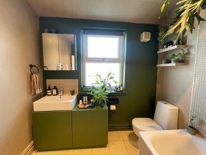 霍尔Cosy Room In Altrincham的绿色浴室设有水槽和镜子