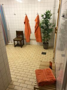 瓦克斯霍尔姆Bogesund Slottsvandrarhem的浴室墙上挂着橙色毛巾