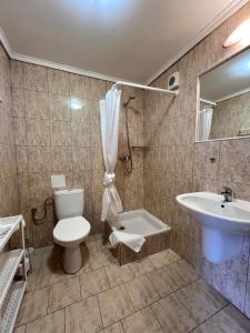 布拉格GEO酒店的一间带卫生间和水槽的浴室