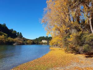 Albert TownClutha River Haven的一条有树木和水的河岸