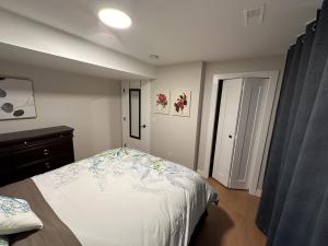 坎卢普斯Renovated 2 Bedroom Suite w/ King Bed的一间卧室配有一张床、一个梳妆台和一扇窗户。