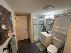 坎卢普斯Renovated 2 Bedroom Suite w/ King Bed的浴室配有卫生间、盥洗盆和淋浴。