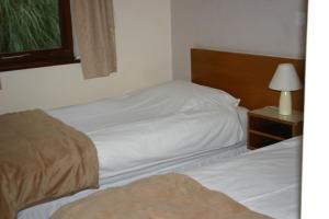 萨克斯特德农家宾馆的一间卧室设有两张床和一张桌子上的台灯。
