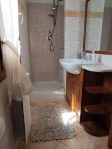 圣托斯特凡诺港La Casetta的一间带水槽、卫生间和淋浴的浴室