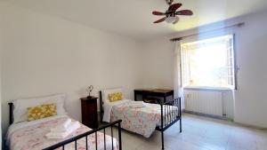 贡内萨Aragonite Azzurra Casa Vacanza的一间卧室设有两张床和窗户。
