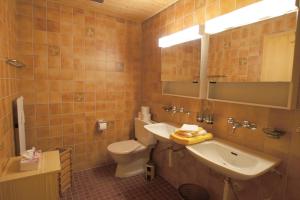 艾姆敦Apartment Kaiser的一间带水槽、卫生间和镜子的浴室
