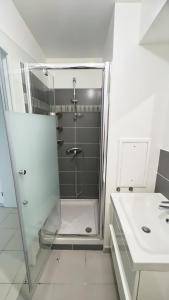 塞尔吉Chambres sur Cergy的带淋浴和盥洗盆的浴室